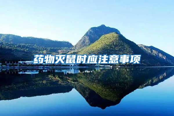 藥物滅鼠時應注意事項