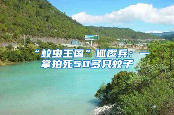 “蚊蟲王國”巡邏兵：一掌拍死50多只蚊子