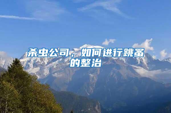 殺蟲公司，如何進行跳蚤的整治