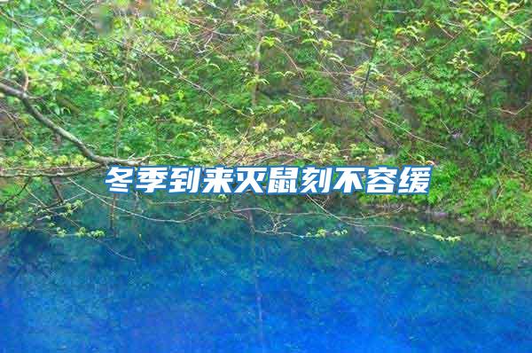 冬季到來滅鼠刻不容緩