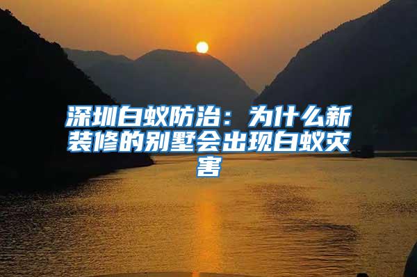 深圳白蟻防治：為什么新裝修的別墅會出現白蟻災害