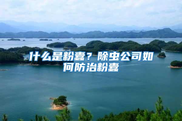 什么是粉蠹？除蟲公司如何防治粉蠹