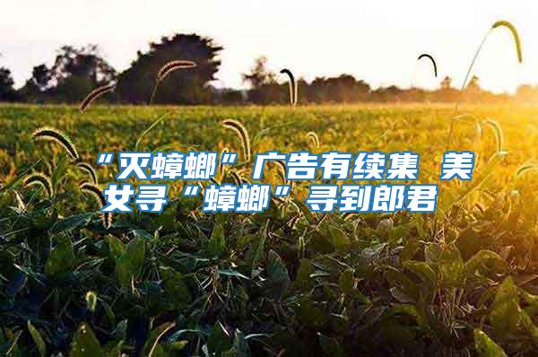 “滅蟑螂”廣告有續集 美女尋“蟑螂”尋到郎君