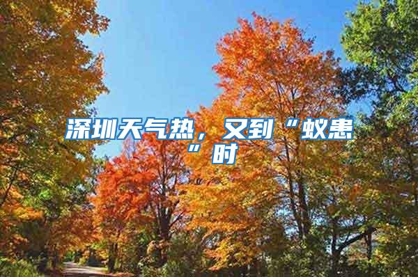 深圳天氣熱，又到“蟻患”時