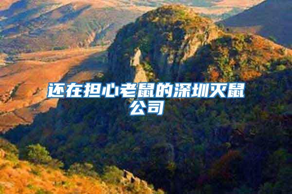 還在擔(dān)心老鼠的深圳滅鼠公司