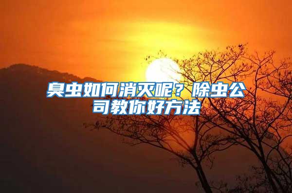 臭蟲(chóng)如何消滅呢？除蟲(chóng)公司教你好方法