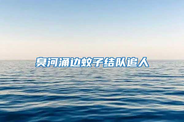 臭河涌邊蚊子結隊追人