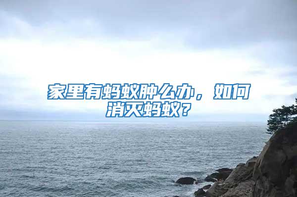 家里有螞蟻腫么辦，如何消滅螞蟻？
