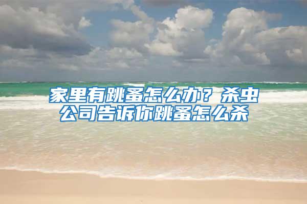 家里有跳蚤怎么辦？殺蟲公司告訴你跳蚤怎么殺