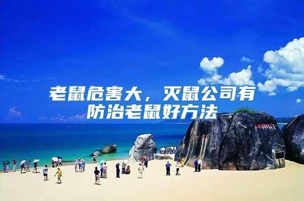 老鼠危害大，滅鼠公司有防治老鼠好方法