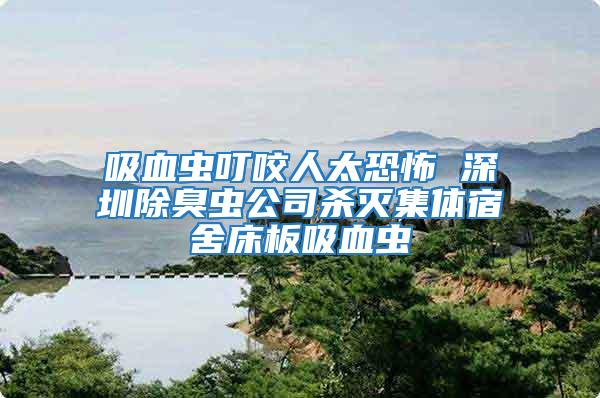 吸血蟲叮咬人太恐怖 深圳除臭蟲公司殺滅集體宿舍床板吸血蟲