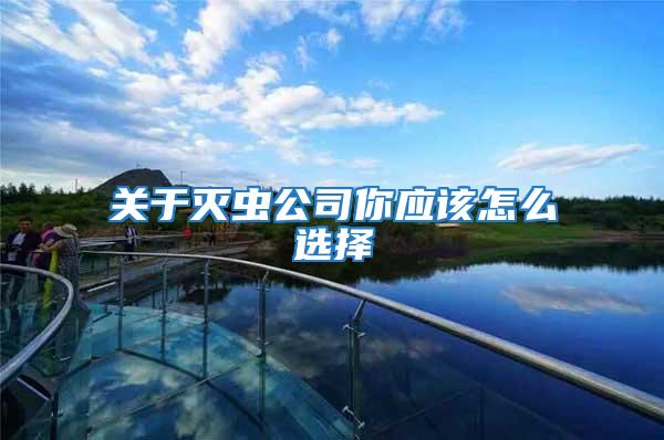 關于滅蟲公司你應該怎么選擇