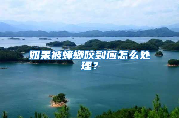 如果被蟑螂咬到應怎么處理？