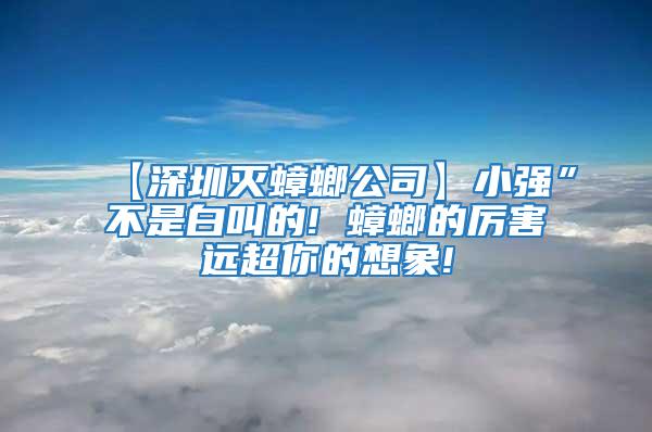 【深圳滅蟑螂公司】小強”不是白叫的! 蟑螂的厲害遠超你的想象!