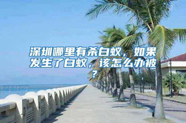 深圳哪里有殺白蟻，如果發生了白蟻，該怎么辦被？