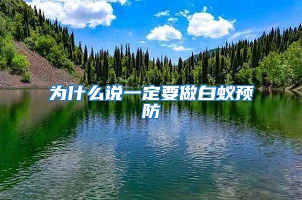 為什么說一定要做白蟻預防