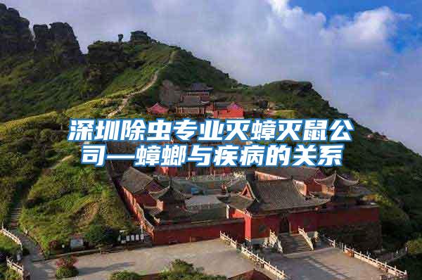 深圳除蟲專業滅蟑滅鼠公司—蟑螂與疾病的關系