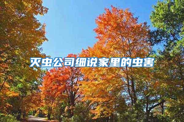 滅蟲公司細說家里的蟲害