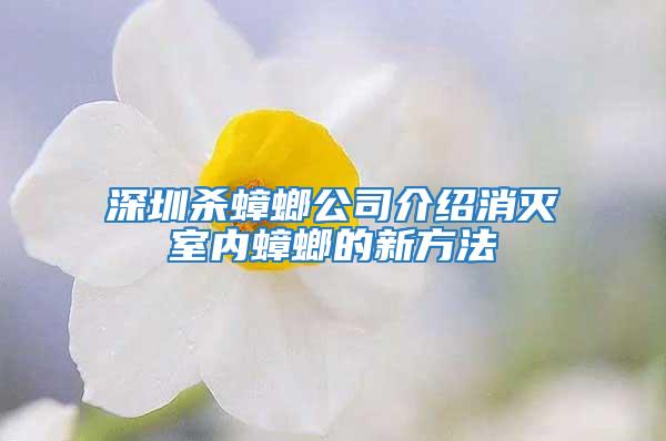 深圳殺蟑螂公司介紹消滅室內蟑螂的新方法