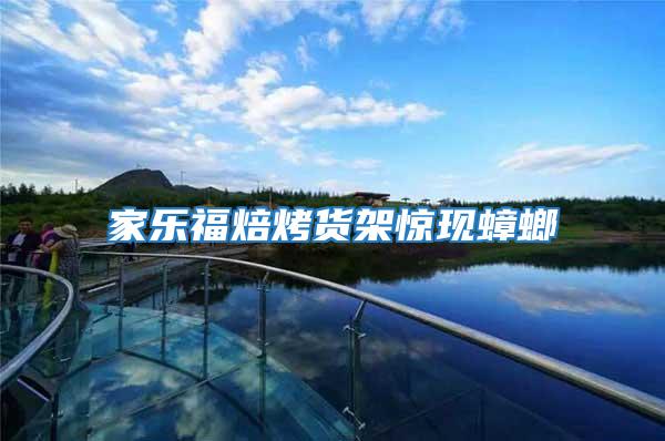 家樂福焙烤貨架驚現蟑螂