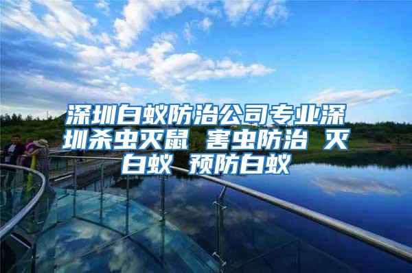 深圳白蟻防治公司專業深圳殺蟲滅鼠 害蟲防治 滅白蟻 預防白蟻