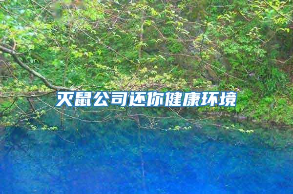 滅鼠公司還你健康環境