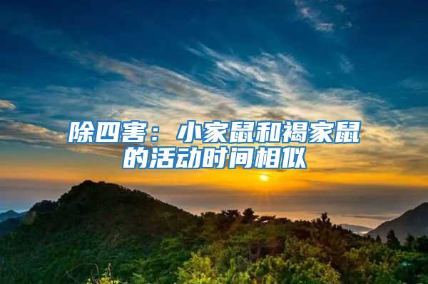 除四害：小家鼠和褐家鼠的活動時間相似