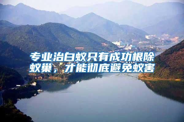 專業治白蟻只有成功根除蟻巢，才能徹底避免蟻害