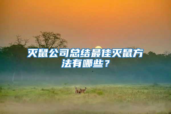 滅鼠公司總結最佳滅鼠方法有哪些？
