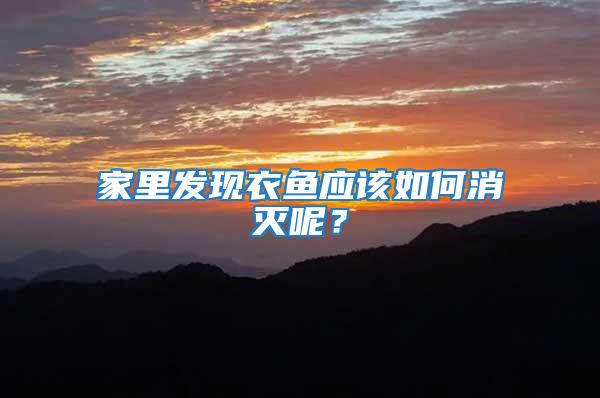 家里發(fā)現(xiàn)衣魚應(yīng)該如何消滅呢？