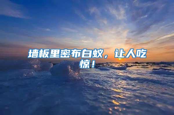 墻板里密布白蟻，讓人吃驚！
