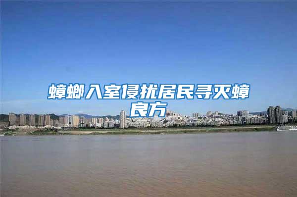蟑螂入室侵?jǐn)_居民尋滅蟑良方