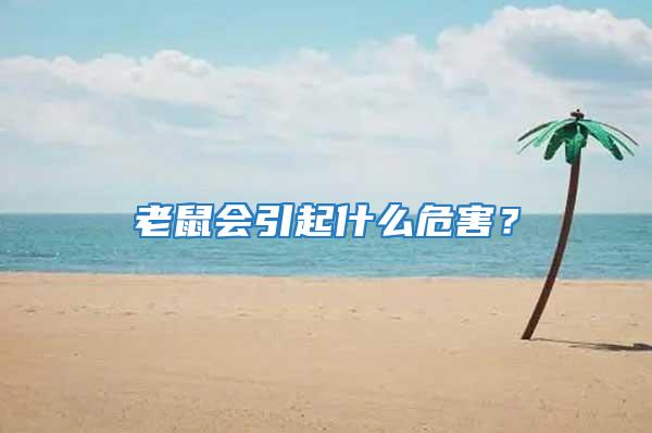 老鼠會引起什么危害？