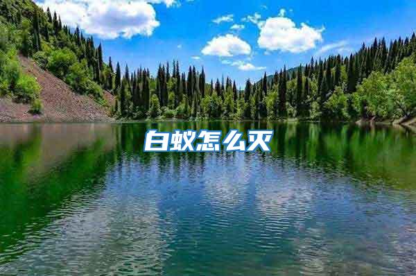 白蟻怎么滅