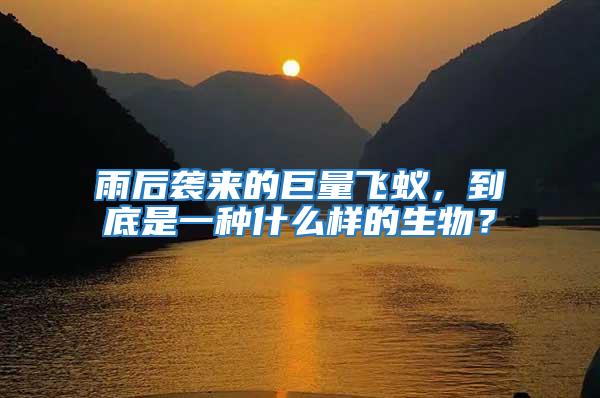 雨后襲來的巨量飛蟻，到底是一種什么樣的生物？