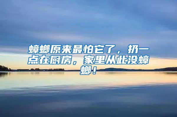 蟑螂原來最怕它了，扔一點在廚房，家里從此沒蟑螂！