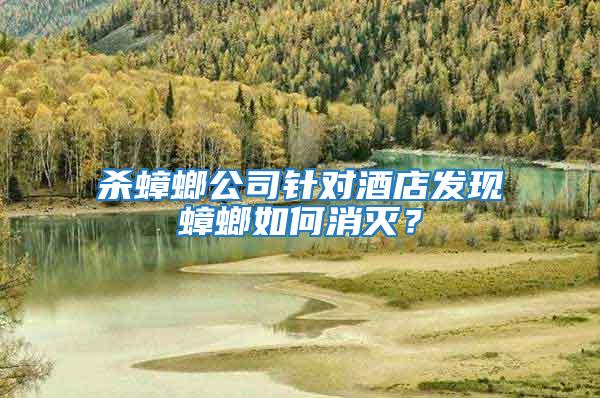 殺蟑螂公司針對酒店發現蟑螂如何消滅？