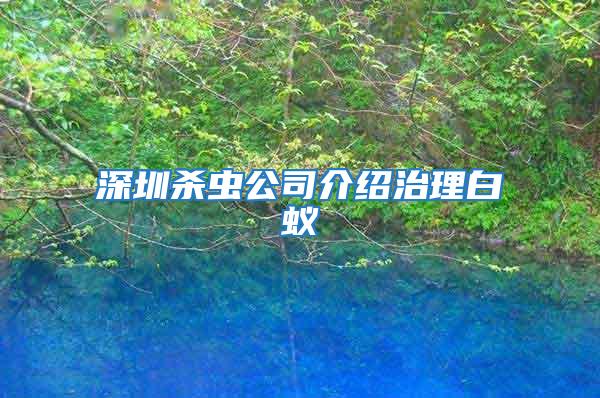 深圳殺蟲公司介紹治理白蟻