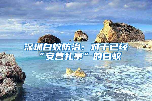 深圳白蟻防治：對于已經(jīng)“安營扎寨”的白蟻