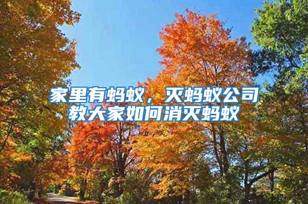 家里有螞蟻，滅螞蟻公司教大家如何消滅螞蟻