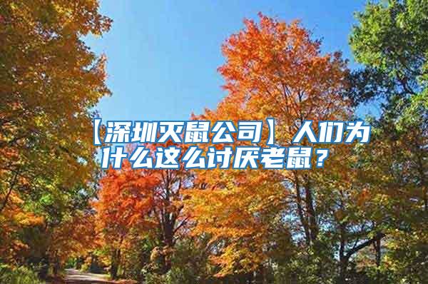 【深圳滅鼠公司】人們?yōu)槭裁催@么討厭老鼠？