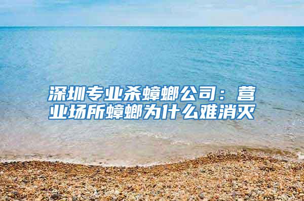 深圳專業殺蟑螂公司：營業場所蟑螂為什么難消滅