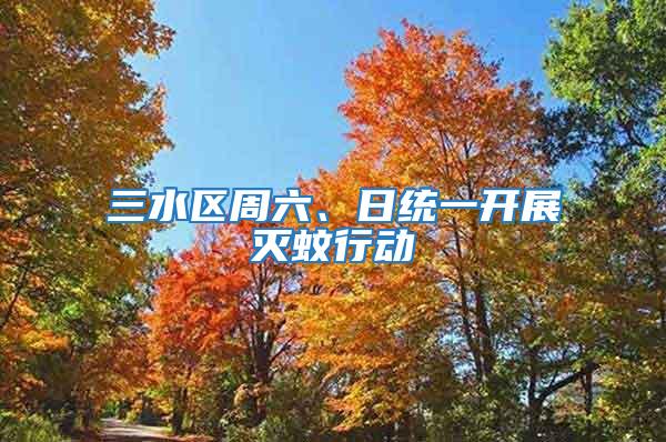 三水區周六、日統一開展滅蚊行動
