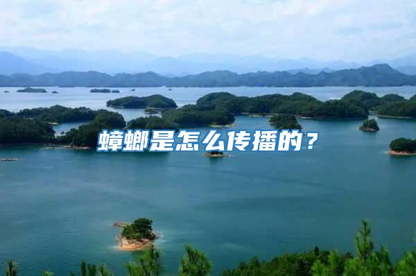 蟑螂是怎么傳播的？