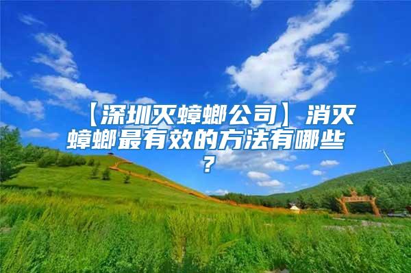 【深圳滅蟑螂公司】消滅蟑螂最有效的方法有哪些？