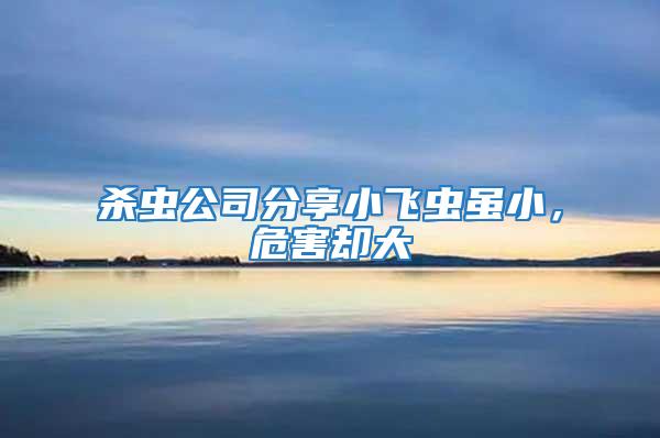 殺蟲公司分享小飛蟲雖小，危害卻大
