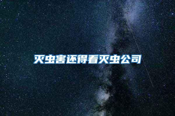 滅蟲害還得看滅蟲公司