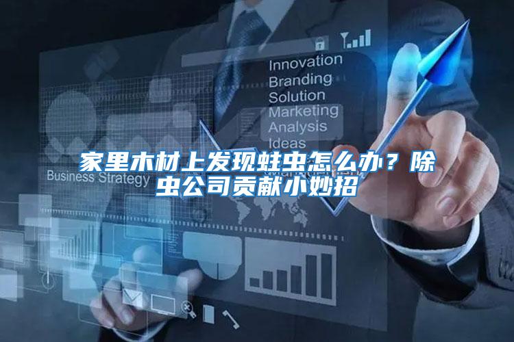 家里木材上發(fā)現(xiàn)蛀蟲(chóng)怎么辦？除蟲(chóng)公司貢獻(xiàn)小妙招