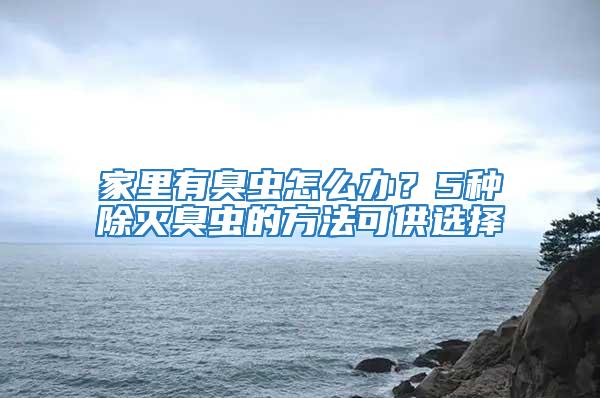 家里有臭蟲怎么辦？5種除滅臭蟲的方法可供選擇