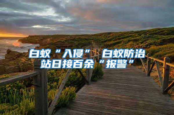 白蟻“入侵” 白蟻防治站日接百余“報(bào)警”